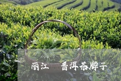 丽江 普洱茶牌子/2023041053858